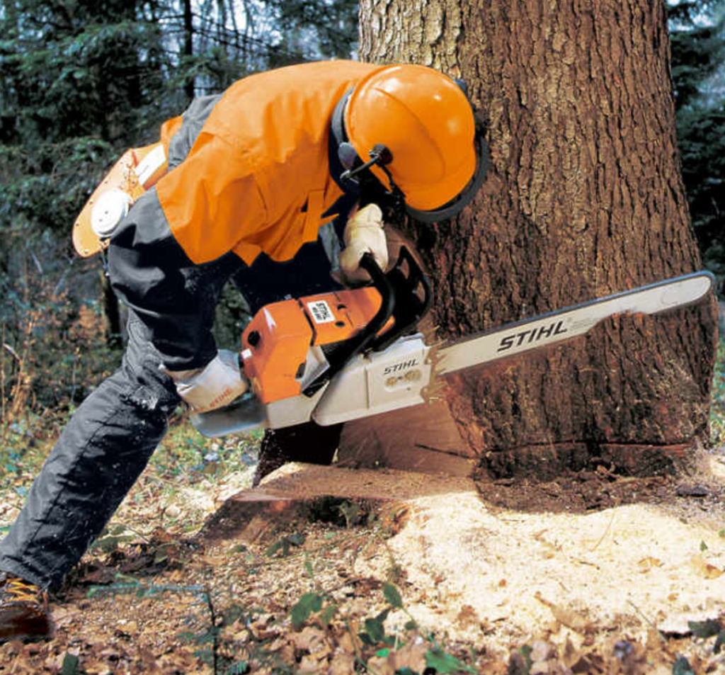Stihl Ms T Chainsaw Savings Foreman S General Store
