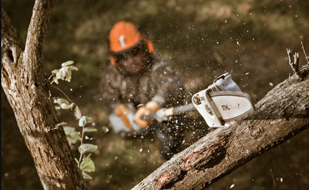 Stihl HT 56 C E Pole Pruner Savings Foreman S General Store