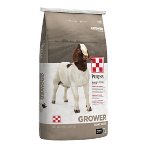 Purina Goat Grower 16 Plus Up DQ.0015 50-lb bag