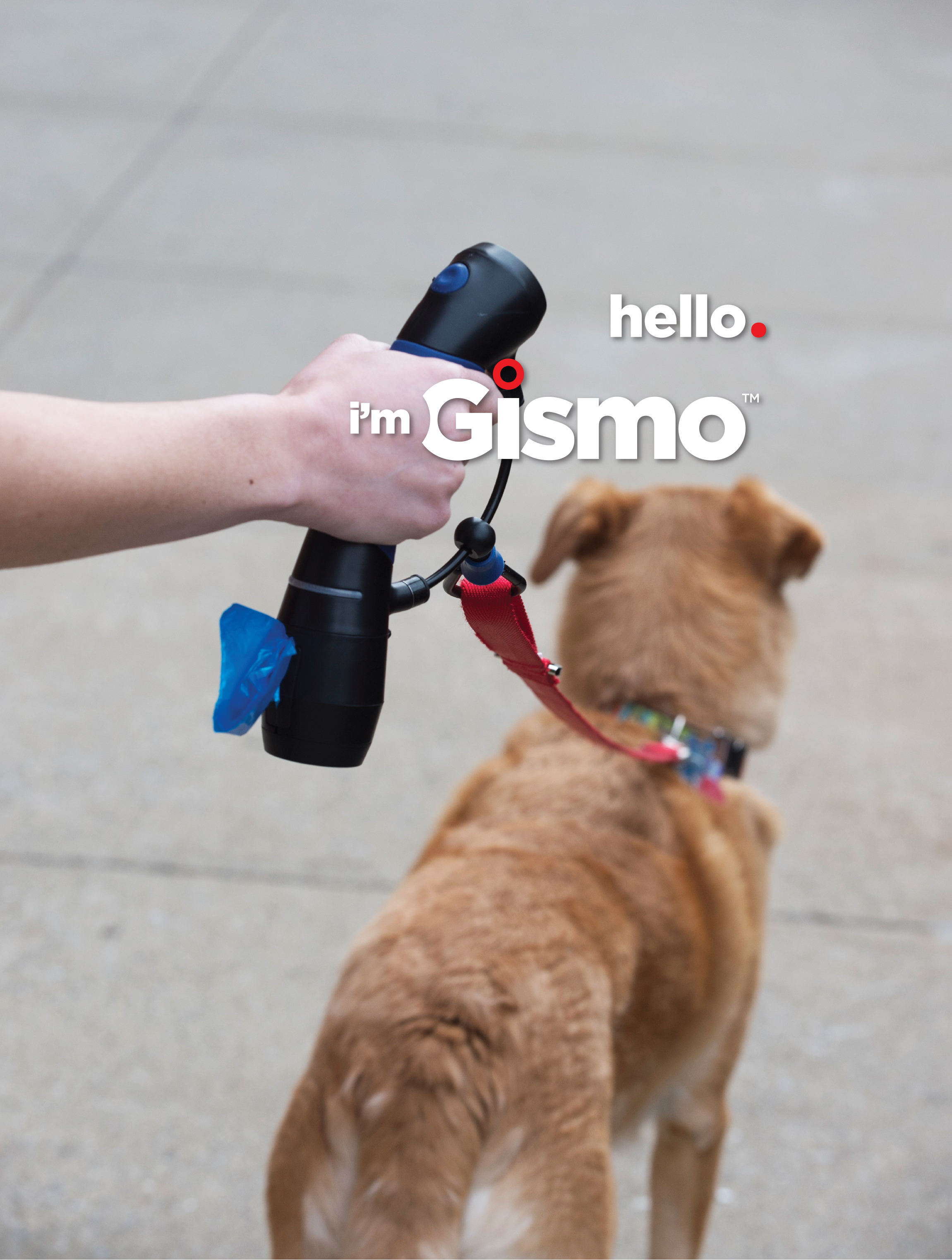 I m Gismo The Innovative Dog Walking Device Foreman s General Store