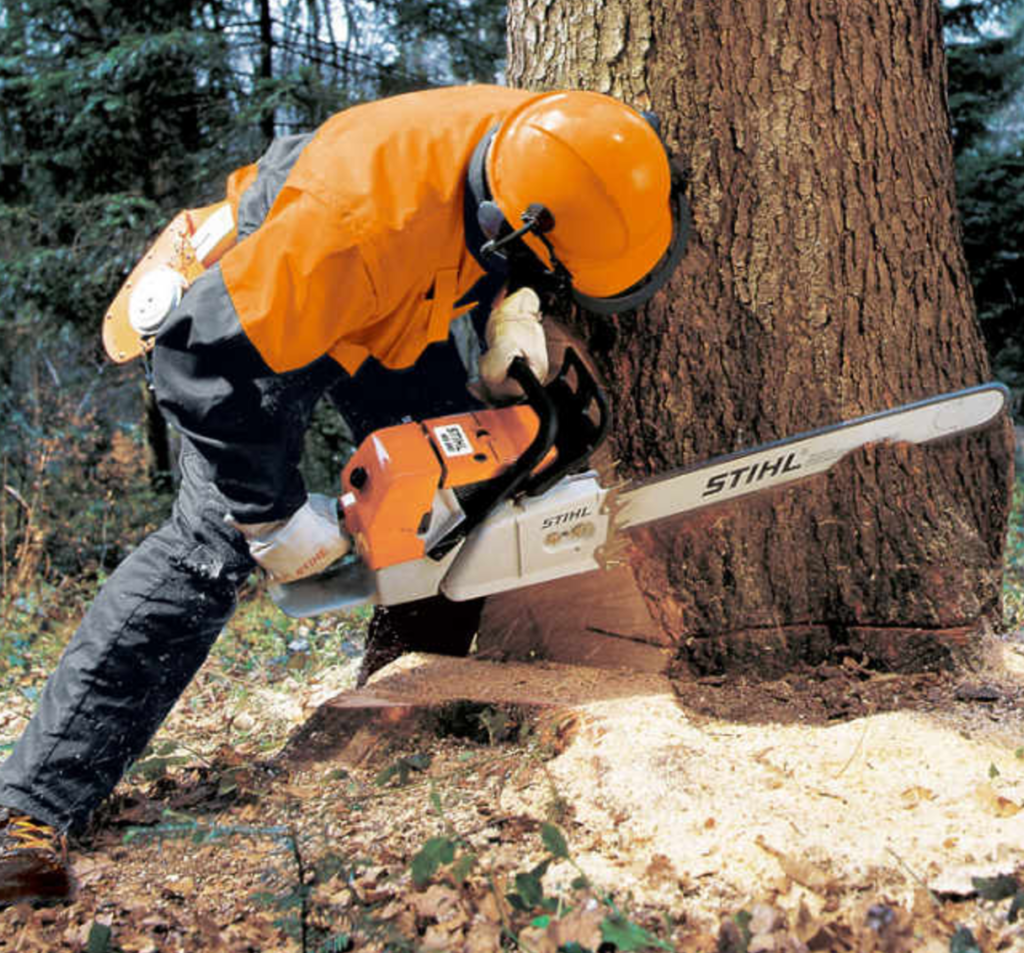 Stihl Ms 193 T Chainsaw Savings Foremans General Store