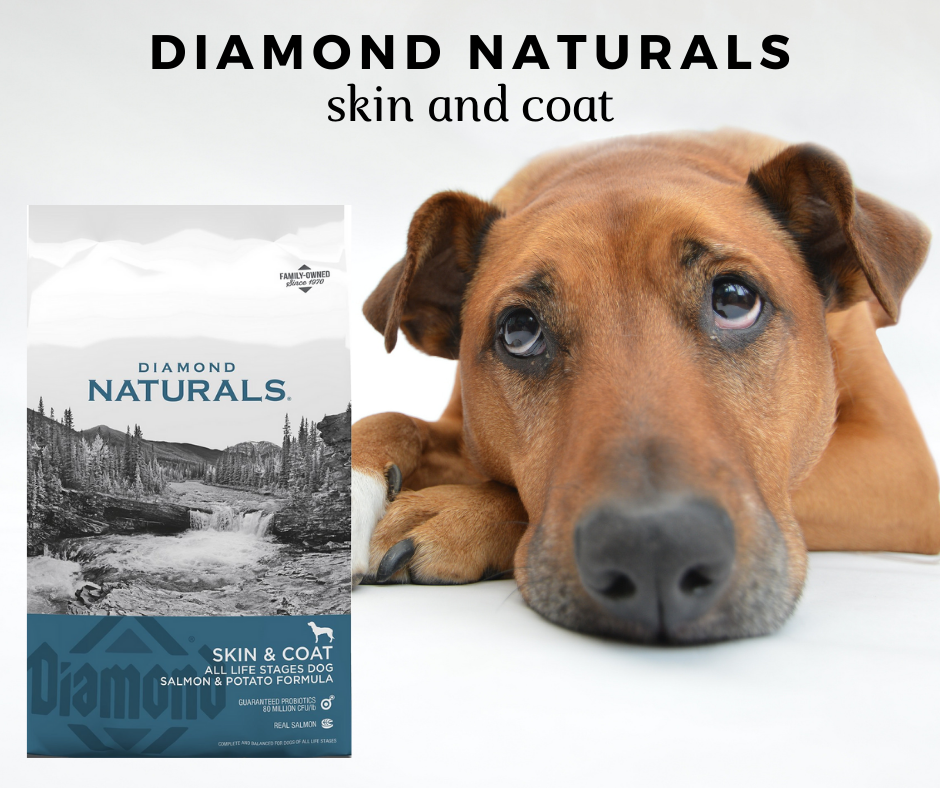 Diamond naturals skin and best sale coat reviews