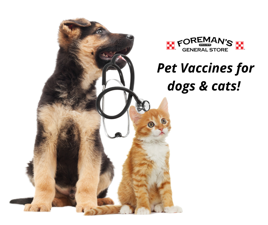 Dog and hot sale cat vaccines